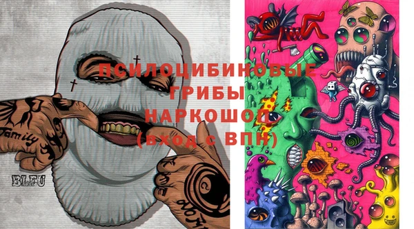 a pvp Няндома