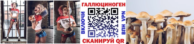 Галлюциногенные грибы Psilocybe  Пойковский 